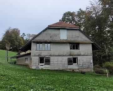 Vorher - ursprüngliches Bauernhaus